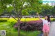 A young woman standing next to a tree pointing at something.